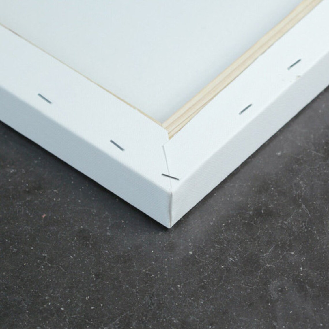 Animals Set of 3 Canvas Wall Art Funny Animals Canvas Wall Etsy