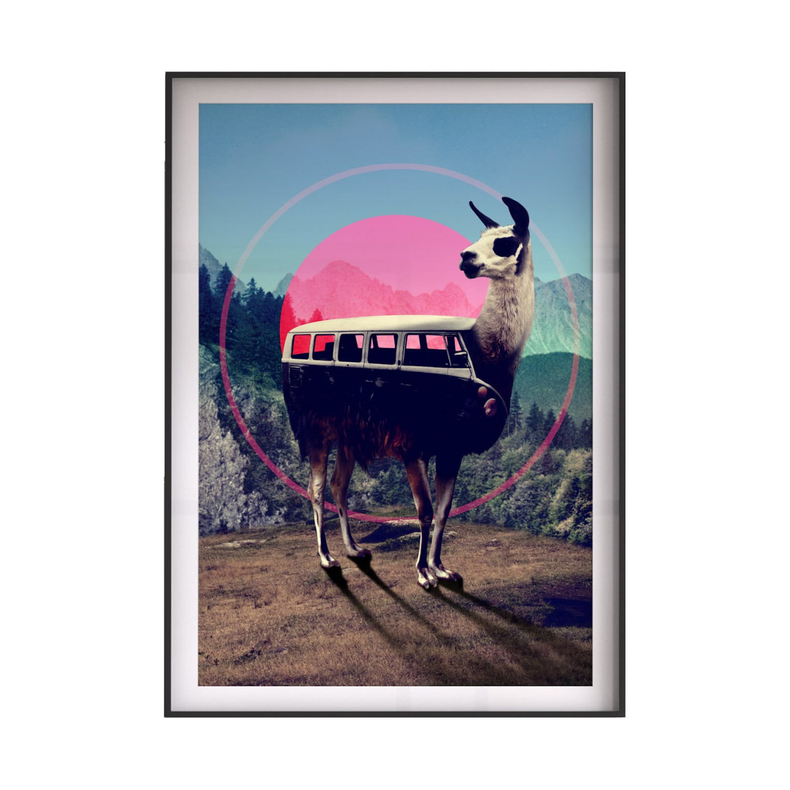 Llama Art Print Funny Animal Wall Art Hippie Adventure Etsy