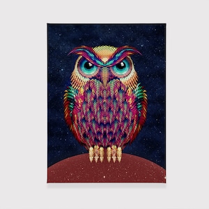 Vibrant Owl Canvas Print: Starry Night Sky Art
