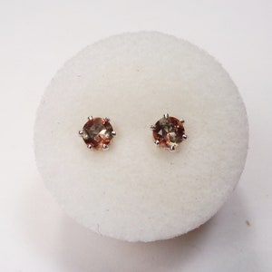 May include: A pair of silver stud earrings with small, round, brown gemstones.