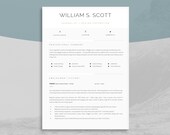 Professional Resume Template: Executive CV Design (A4 & US Letter) (Digital Download)