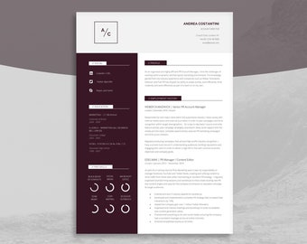 Professional Resume Template | CV for Executives (Sales, Marketing or Finance Professionals) |  Business Resume Template | Westminster