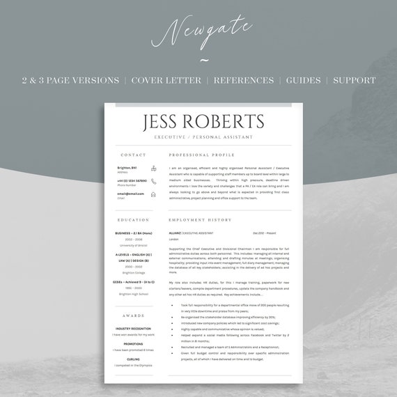Resume Template For Executives Professional Curriculum Vitae Etsy