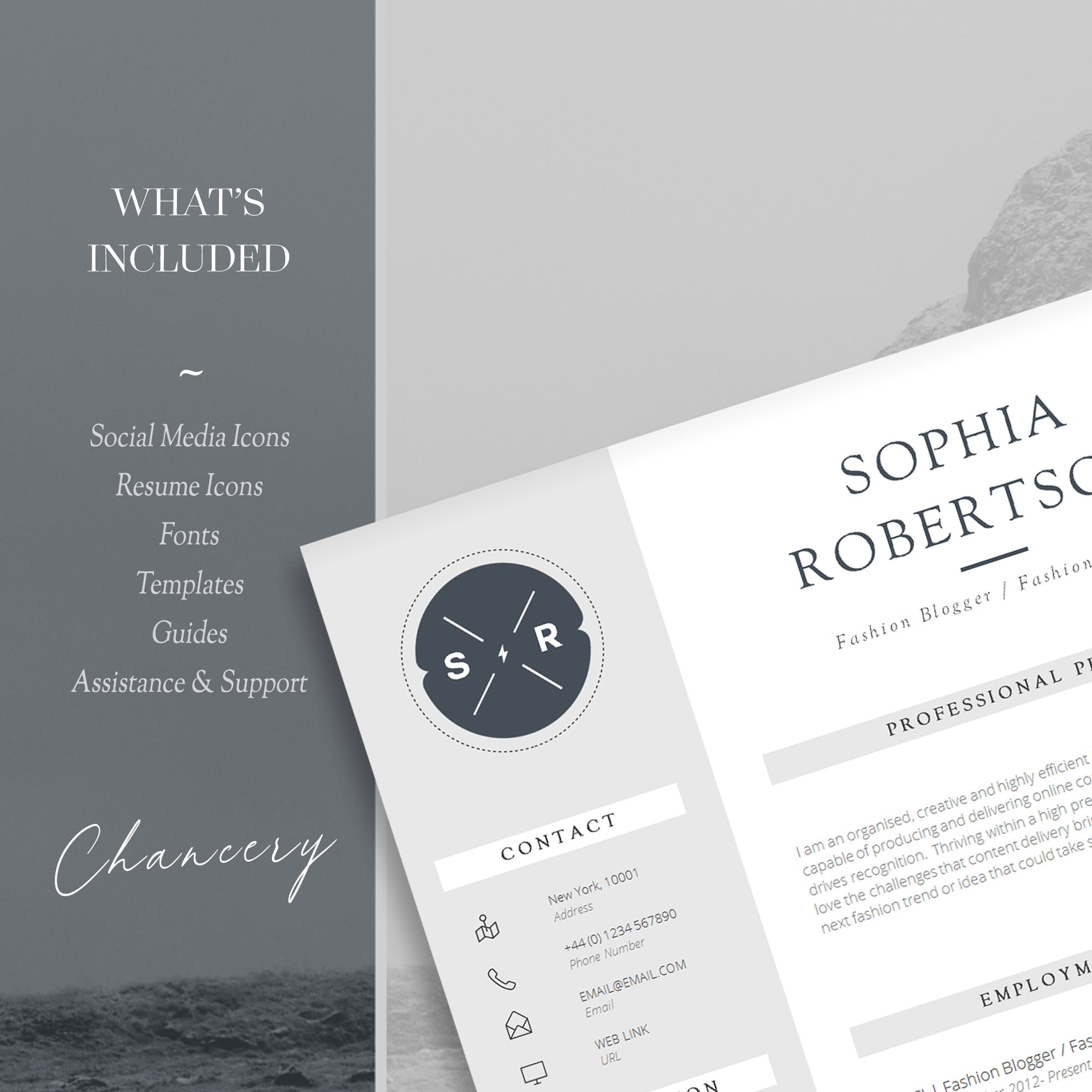 Professional CV Design Template for Word. CV Template for Experienced