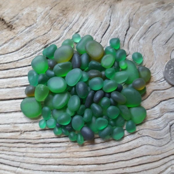 Seaham and English North East Coast seaglass - Gorgeous Greens 50g or 100g - Direct from Imogen's Beach
