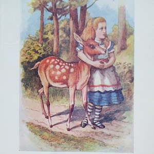 1962 Original Vintage Print from &#39;Alice Through The Looking Glass&#39; by Lewis Carroll Illustrated by John Tenniel published by Macmillan