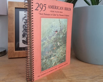 1936 295 American Birds 1st Edition by Thomas S Roberts The University of Minnesota Press. Illustrated book. Lithographs.