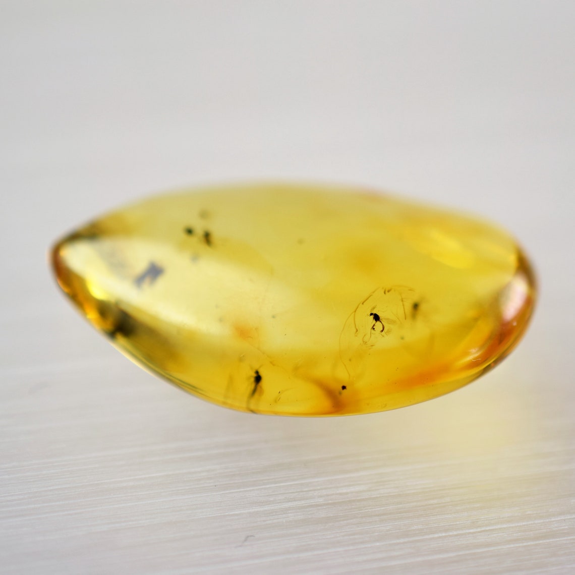 Amber with insects Amber fossilized amber inclusions Amber Etsy