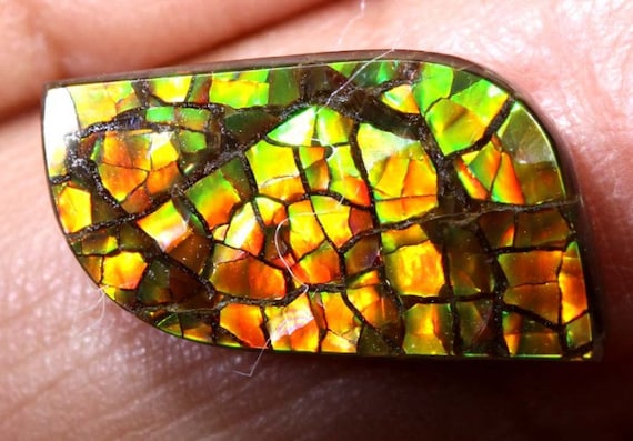 4.95 CTS Ammolite Stones Gem Grade CG 2486