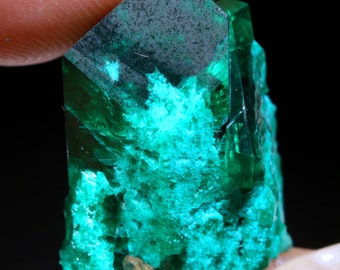 Può includere: Un vibrante cristallo verde smeraldo con una parte superiore scura e strutturata. La struttura cristallina presenta angoli acuti e una superficie ruvida. La gemma è tenuta tra le dita su uno sfondo scuro, evidenziando la sua bellezza naturale e i dettagli.