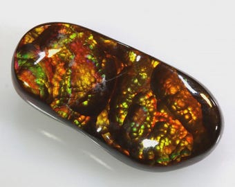 May include: A polished, oval-shaped gemstone with a dark brown base and vibrant internal colors of red, orange, yellow, and green. The surface has a glossy finish, and the stone appears to be translucent, revealing intricate patterns.
