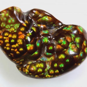 Puede incluir: Una gema pulida de forma libre con un patrón único. La piedra presenta una mezcla de colores marrón, naranja y verde, con un diseño celular o en mosaico. La superficie es lisa y reflectante, lo que sugiere un acabado de alta calidad.