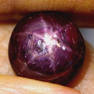 May include: A deep red star ruby gemstone with a six-pointed star pattern visible in the centre. The ruby is round and polished.