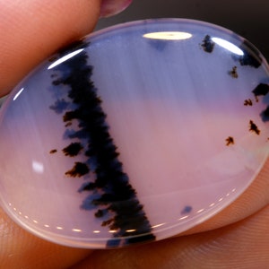 21.45 cts Montana Agate  CG-1565