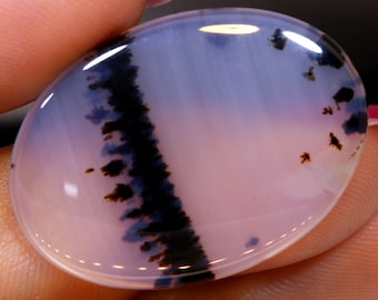 May include: A smooth, oval-shaped agate cabochon with a pink and white base and black dendritic patterns.
