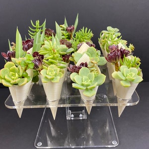 McChi acrylic tray hold 16 charcuterie or succulent cones image 4