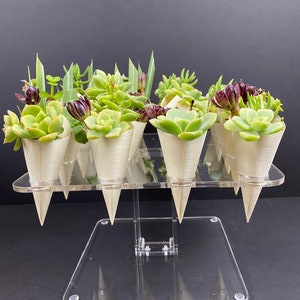 McChi acrylic tray hold 16 charcuterie or succulent cones Bild 5