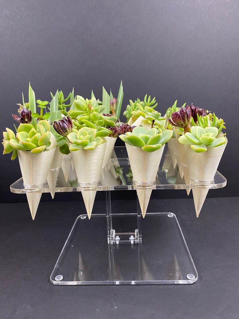 McChi acrylic tray hold 16 charcuterie or succulent cones Bild 5