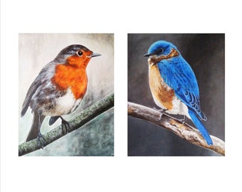 Series of paintings on birds, red throat and bluebird painting, acrylic on canvas 30*25 cm