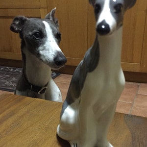 Greyhound Statues image 4