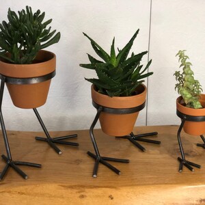 May include: Three terracotta plant pots, each containing different green plants, and supported by black metal stands with a bird-like leg design. The pots are displayed on a wooden surface, creating a whimsical indoor plant display.