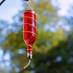 May include: A red glass bottle hummingbird feeder with a gold wire cage and a red plastic spout.