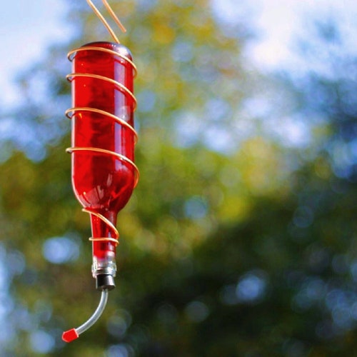 Hummingbird Feeder Made From Glass Wine Bottle Multiple Etsy