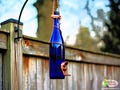 Handmade Wine Bottle Bird Feeder: Upcycled Garden Decor Lots of Color/Trim Options