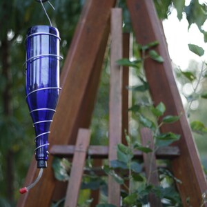 May include: A blue glass bottle with a metal wire cage around it, hanging from a wooden structure. The bottle has a red plastic tube coming out of the bottom, which is likely a hummingbird feeder.