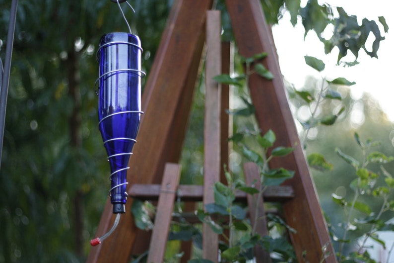 May include: A blue glass bottle with a metal wire cage around it, hanging from a wooden structure. The bottle has a red plastic tube coming out of the bottom, which is likely a hummingbird feeder.