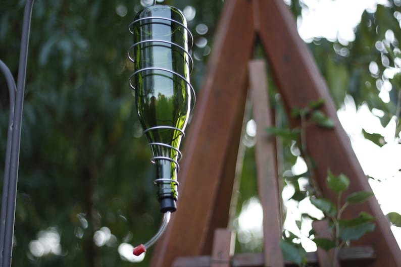 May include: A green glass bottle with a metal cage around it, hanging from a metal hook. The bottle has a red plastic spout at the bottom, and is likely a bird feeder.