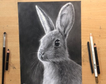 Bunny Rabbit Drawing Original Charcoal Artwork - Nature Animal Art