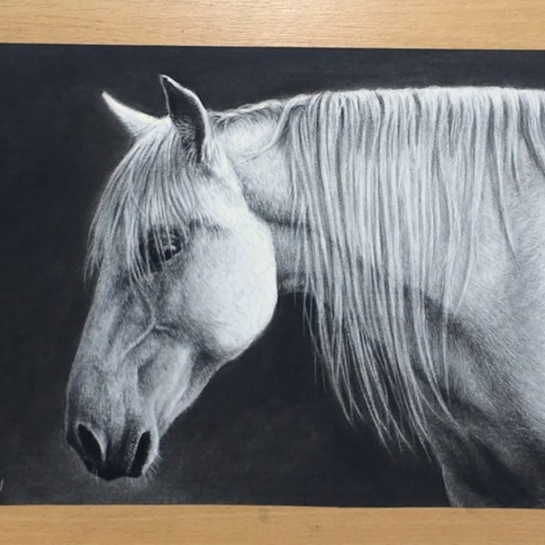 White Horse Drawing Original Charcoal Artwork - Equine Art