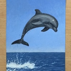 Jumping Dolphin Original Drawing Colored Pencil Artwork - Animal Art