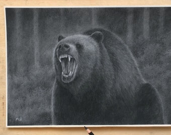 Original Grizzly Bear Pencil Drawing  - American Wildlife Nature Artwork - Animal Art