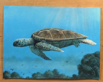 Sea Turtle Original Drawing Colored Pencil Artwork