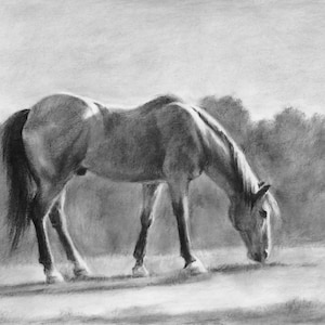 Grazing Horse Original Graphite Pencil Drawing Artwork Equine Art
