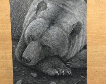 Sleepy Bear Original Charcoal Artwork - Wildlife Animals Realistic Drawing