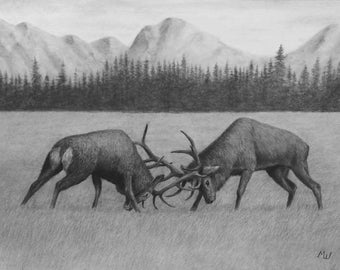 Deer Fight - Original Wildlife Charcoal Artwork - Nature Animals Art Pencil Drawing