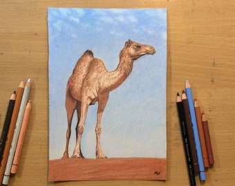 Desert Camel Original Drawing Colored Pencil Artwork - Animal Art