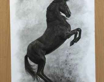 Black Horse Original Charcoal Drawing Artwork - Rearing Horse Equine Art
