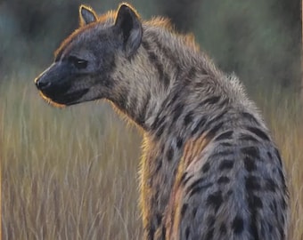 Hyena Drawing Original Colored Pencil Artwork - Wildlife Art