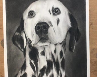 ダルメシアンの肖像画　オリジナル木炭鉛筆画　犬のアート作品