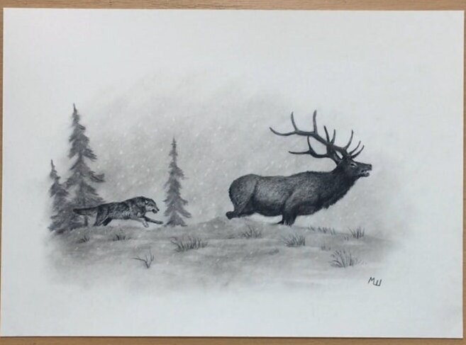 Wolves Hunting Drawings Wolf Hunt Drawing Original Charcoal Artwork - Wildlife Art - Etsy