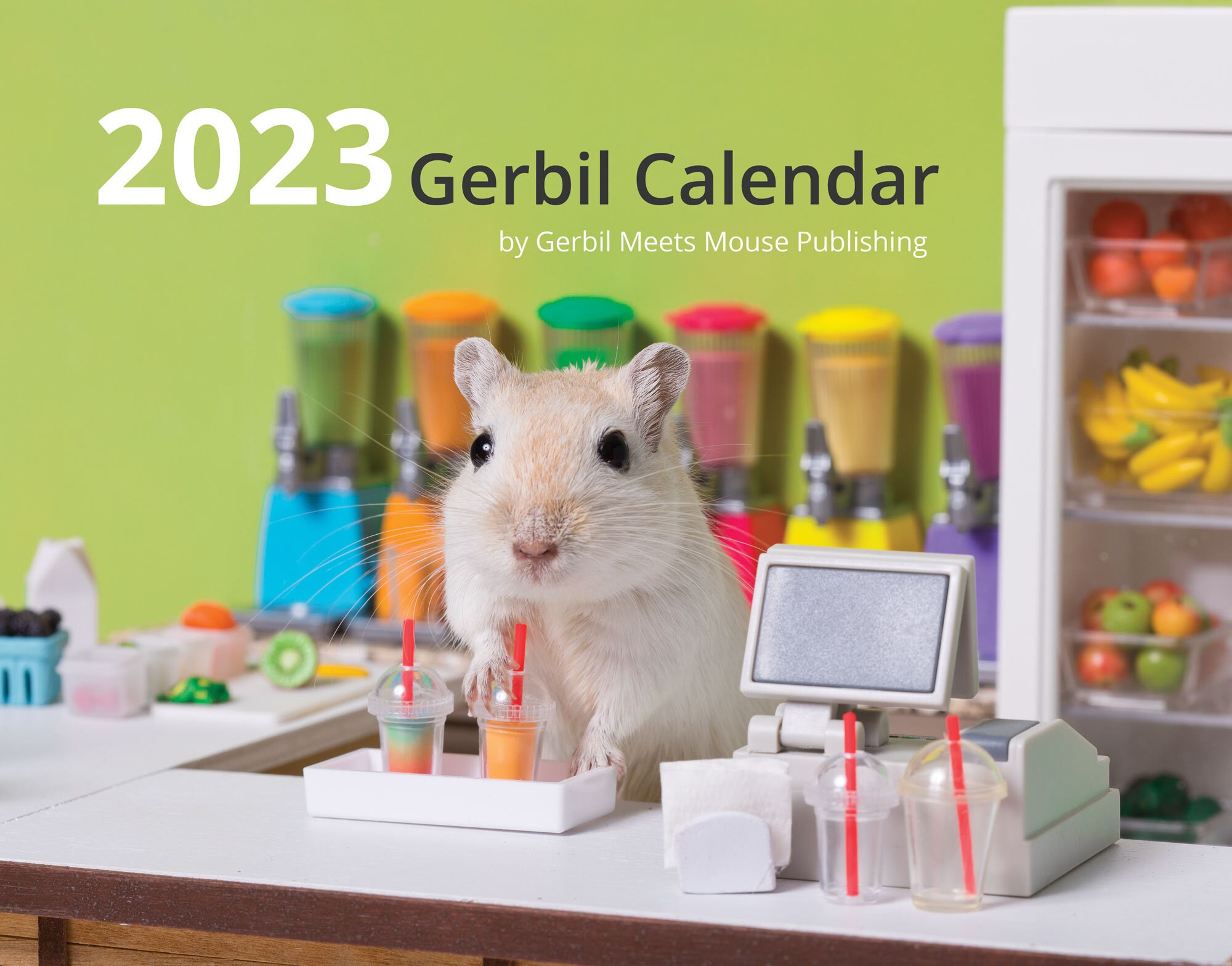 gerbil hanging toys