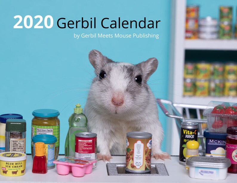 Mouse oc. Белка с кофе. Гербил хомяк. Валерия мышка симферополь. Песчанка домашняя убирается.