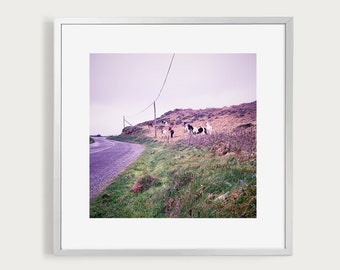 Galloping Wild Horses | West Cork | Irish Horse Art Print | Unique Landscape Photography Ireland | Gift for Horse Lovers | Christmas Gift