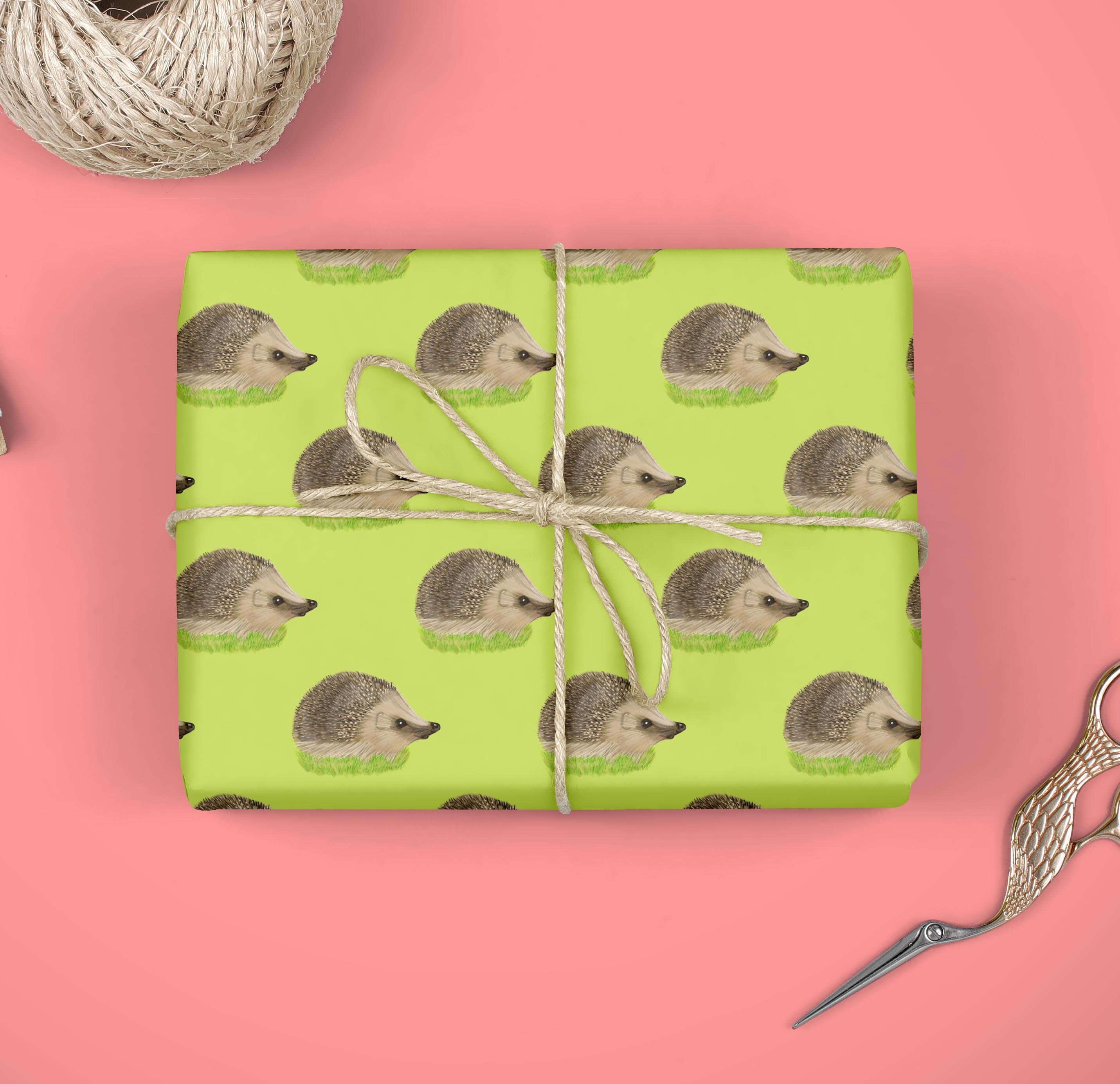 British Hedgehog Wrapping Paper Garden Hedgehog Wrap Gift Etsy UK