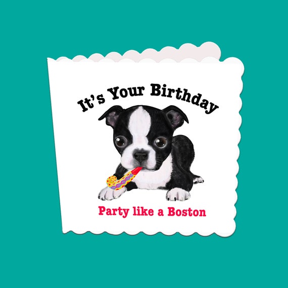 Boston Terrier Birthday Card It S Your Birthday Party Etsy