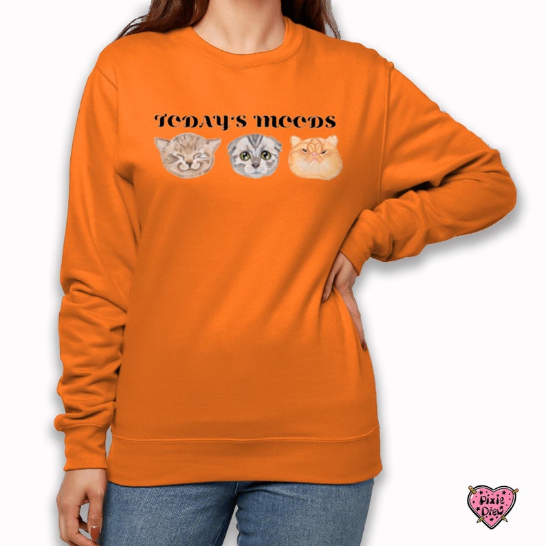 Funny Cat sweatshirt, cat moods jumper in orange, pink or green image 1